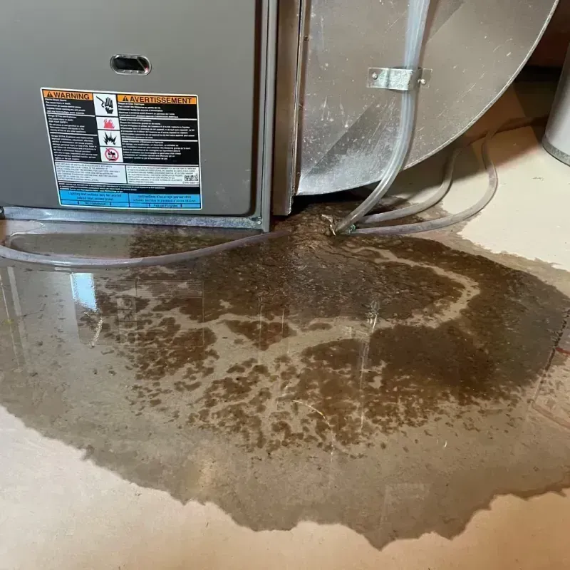 Appliance Leak Cleanup in Livingston County, MO